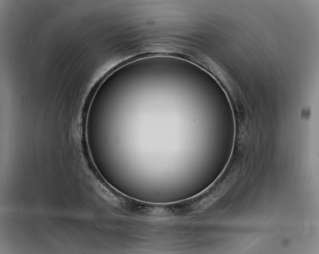 X0000101660787200807101253