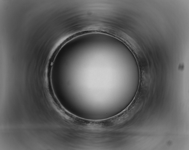 X0000101660788200807101253