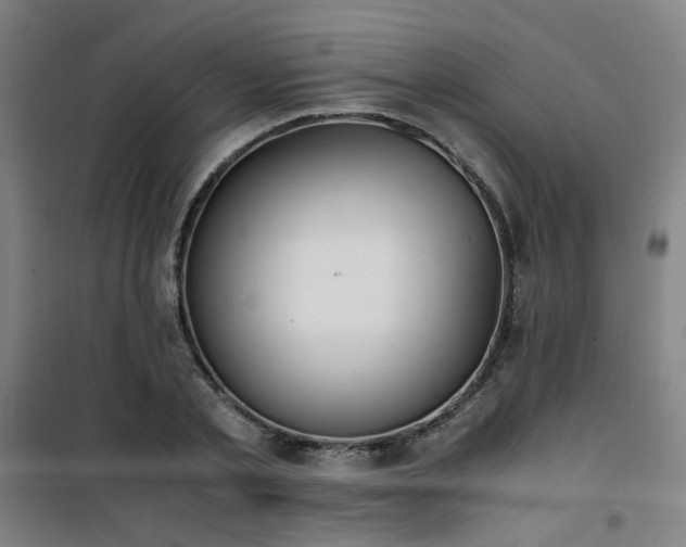 X0000101660789200807101253