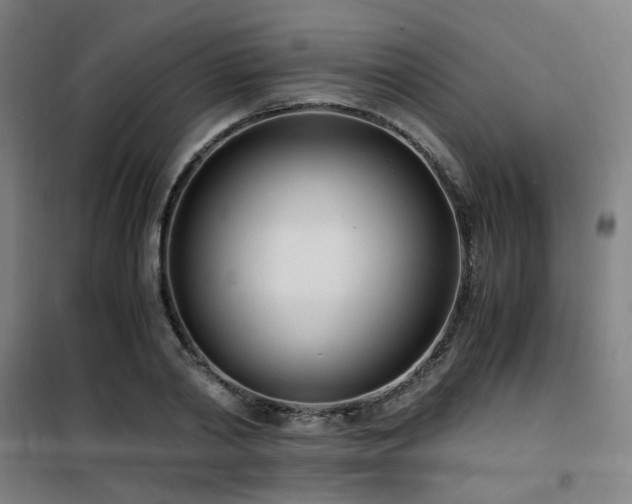 X0000101660790200807101253