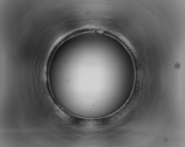 X0000101660791200807101253