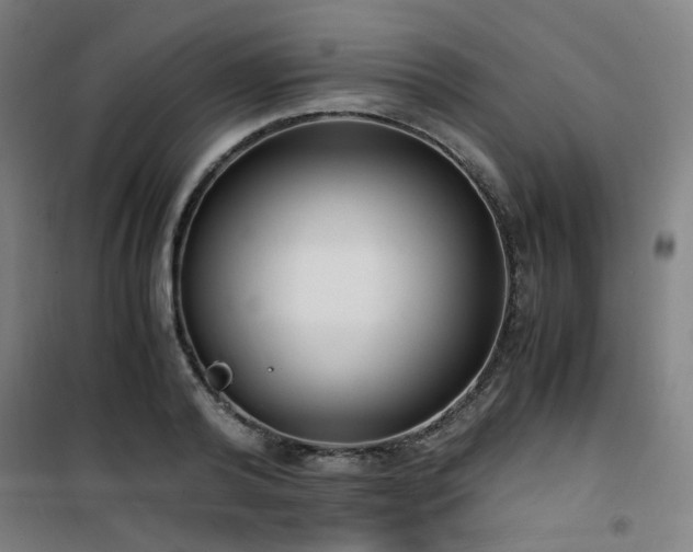 X0000101660792200807101253