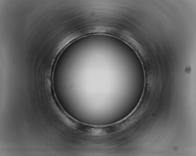 X0000101660794200807101253