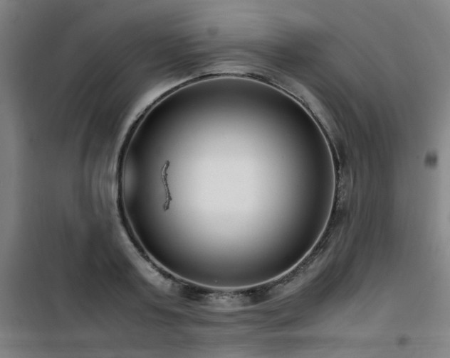 X0000101660795200807101253