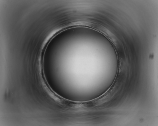 X0000101660796200807101253