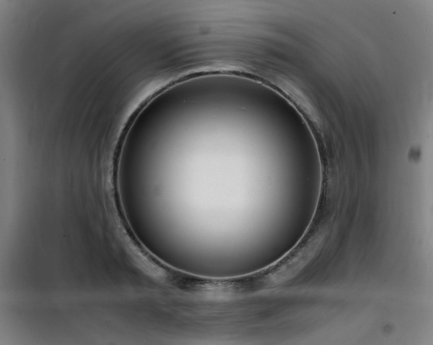 X0000101660797200807101253