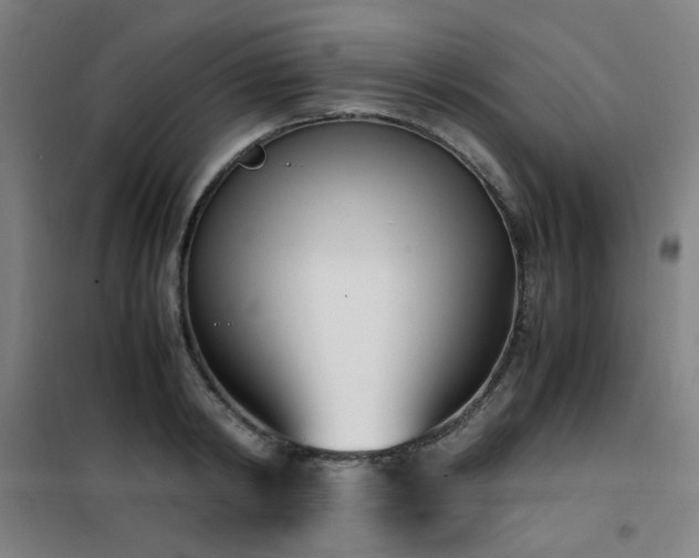 X0000101660798200807101253