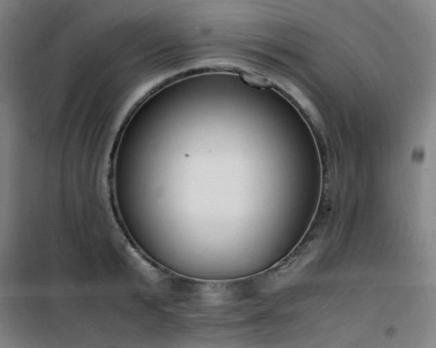 X0000101660799200807101253