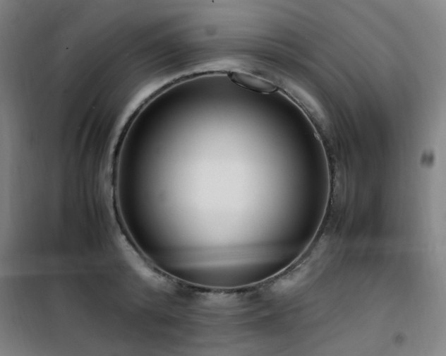 X0000101660800200807101253