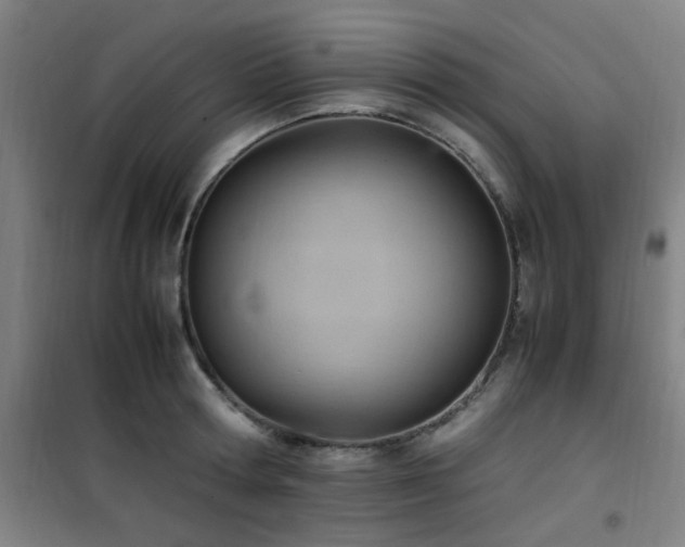 X0000101660802200807101253