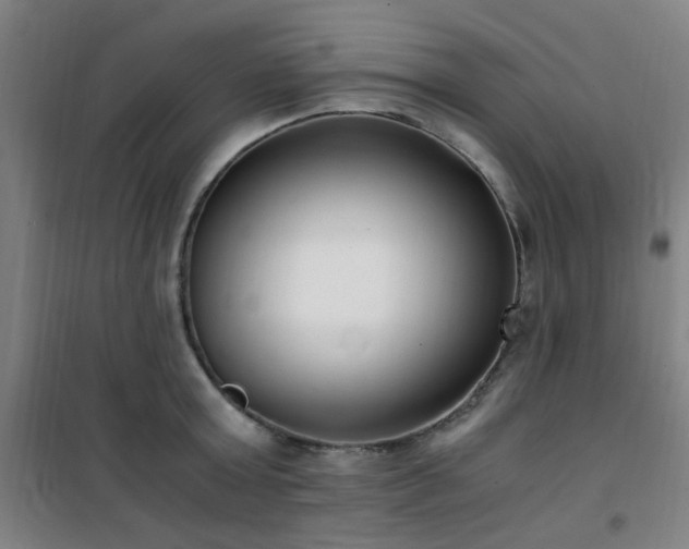 X0000101660803200807101253