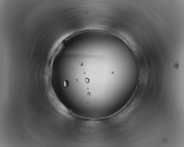 X0000101660804200807101253