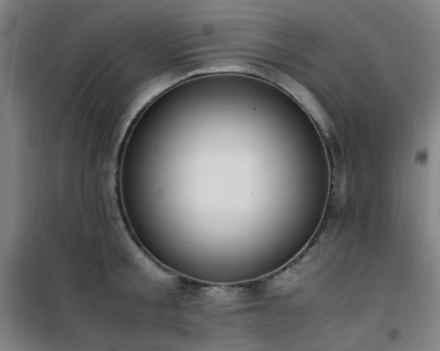 X0000101660805200807101253