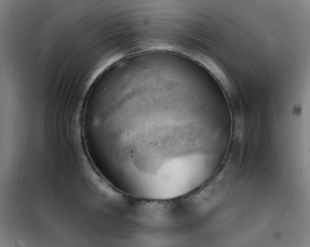 X0000101660806200807101253