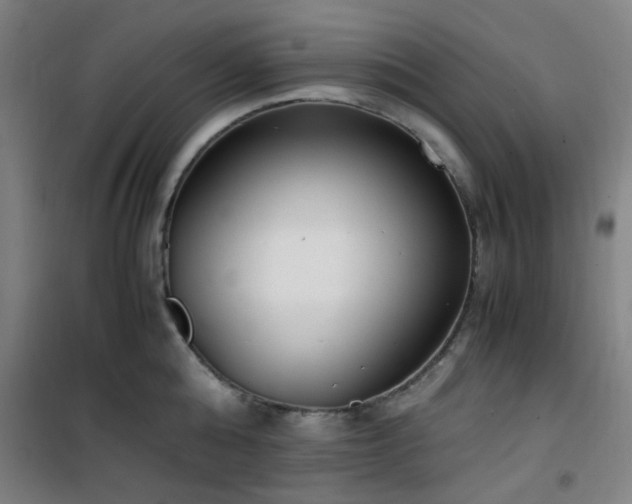 X0000101660808200807101253