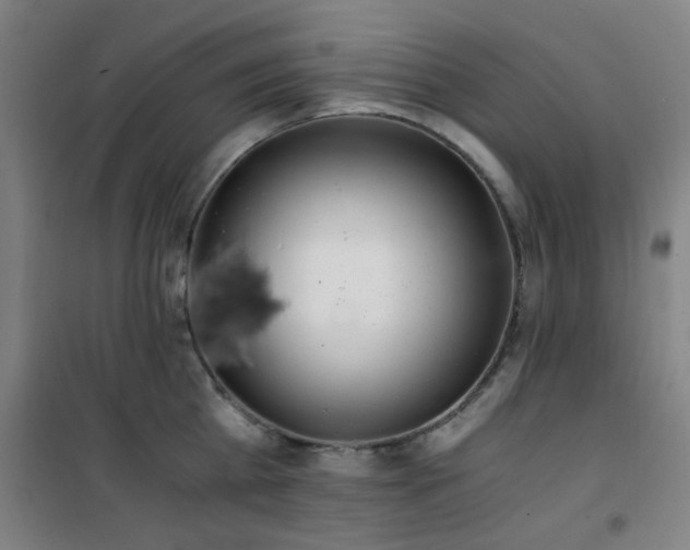 X0000101660809200807101253