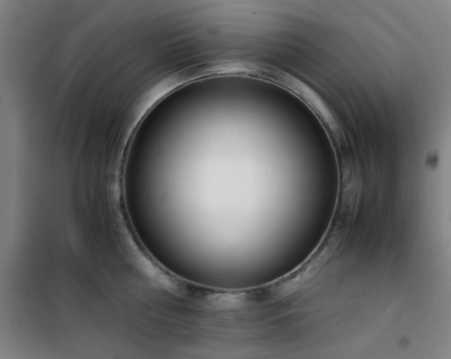 X0000101660810200807101253