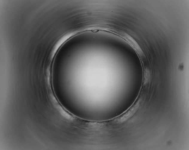 X0000101660812200807101253