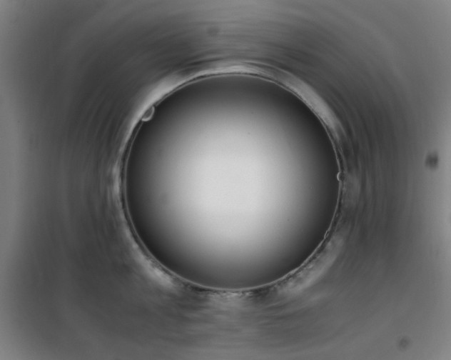 X0000101660813200807101253