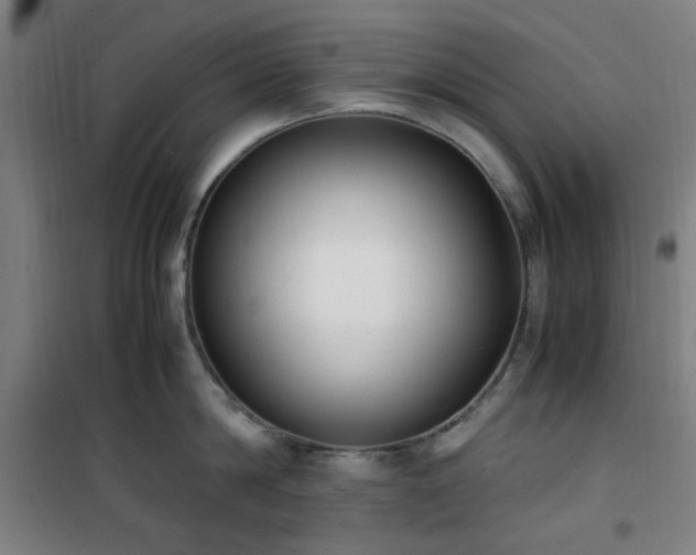 X0000101660814200807101252