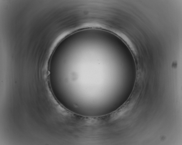 X0000101660815200807101252