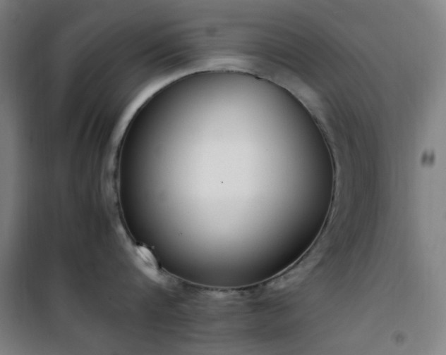 X0000101660816200807101252