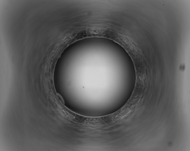 X0000101660817200807101252