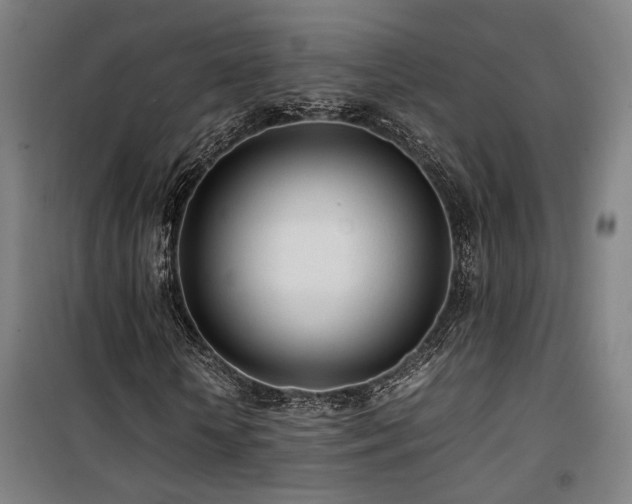 X0000101660818200807101252