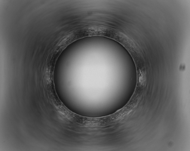 X0000101660819200807101252