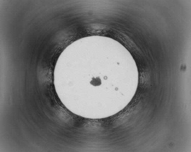 X0000101660820200807101252