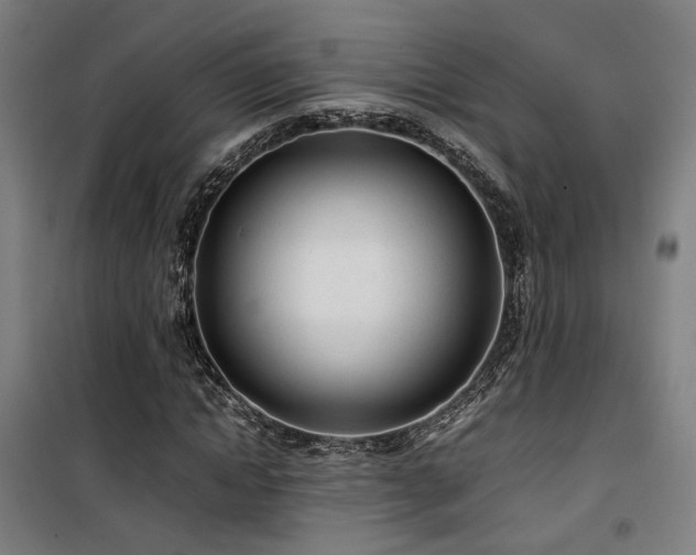 X0000101660822200807101252