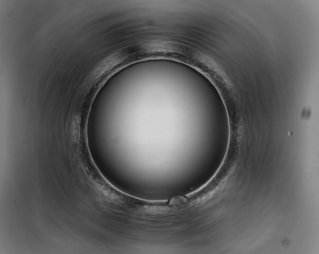 X0000101660825200807101252