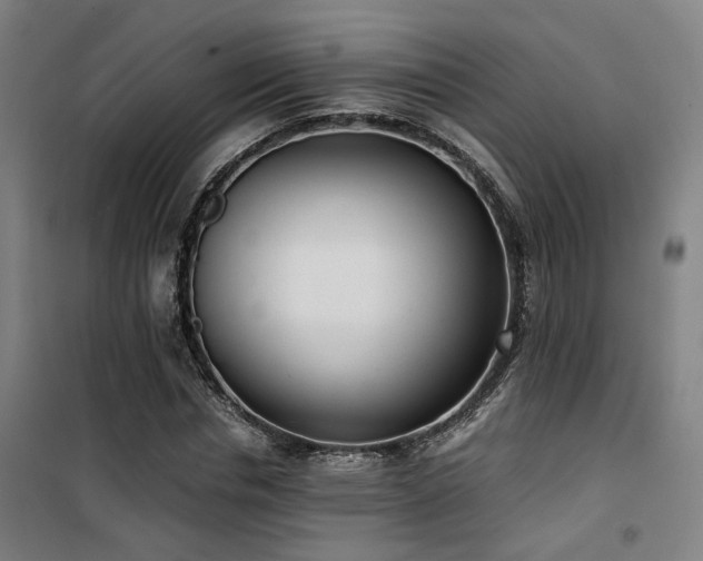 X0000101660826200807101252