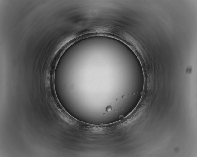 X0000101660827200807101252