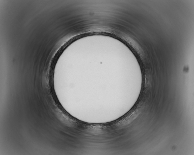 X0000101660828200807101252