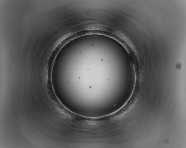 X0000101660829200807101252