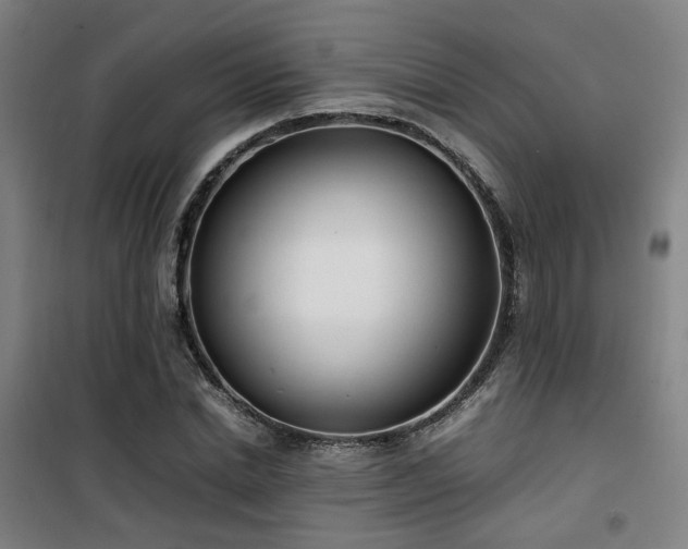 X0000101660830200807101252