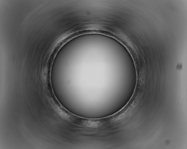 X0000101660831200807101252