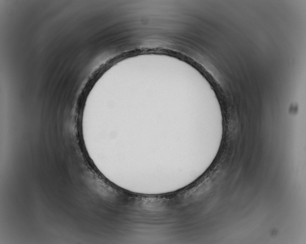 X0000101660832200807101252