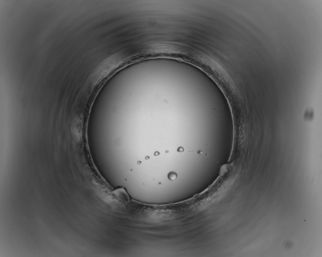 X0000101660833200807101252