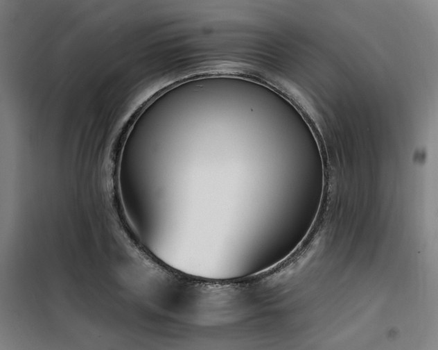 X0000101660835200807101252