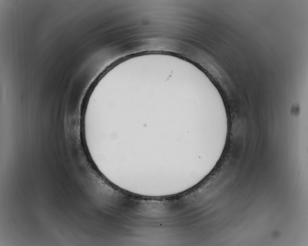 X0000101660836200807101252