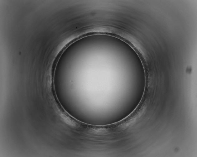 X0000101660837200807101252