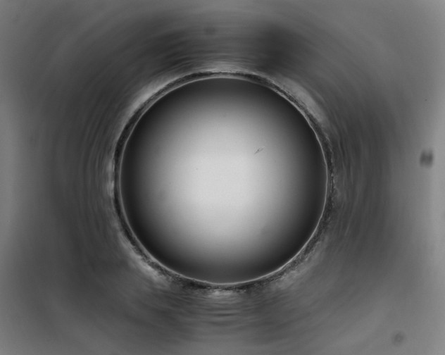 X0000101660839200807101252