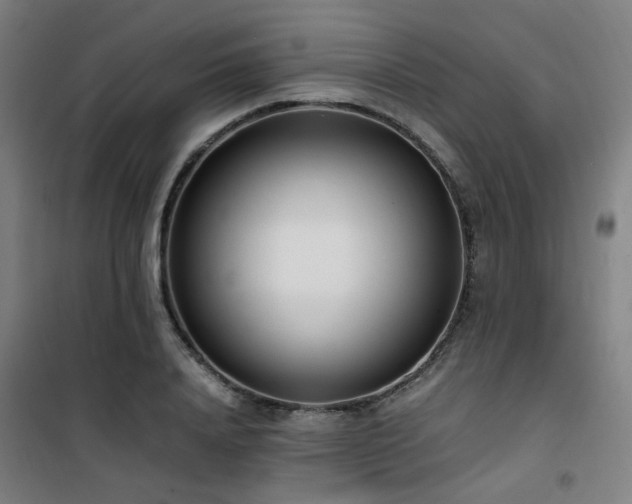 X0000101660840200807101252