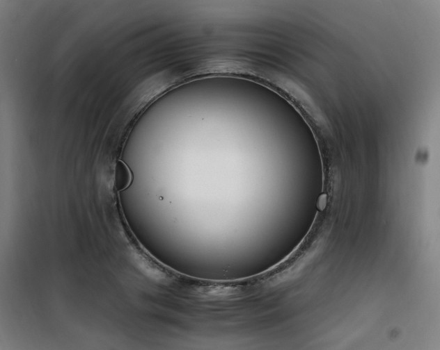 X0000101660841200807101252