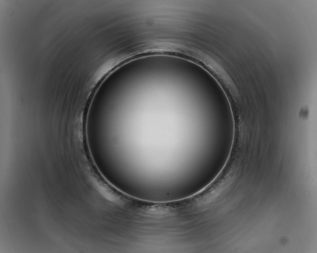 X0000101660842200807101252