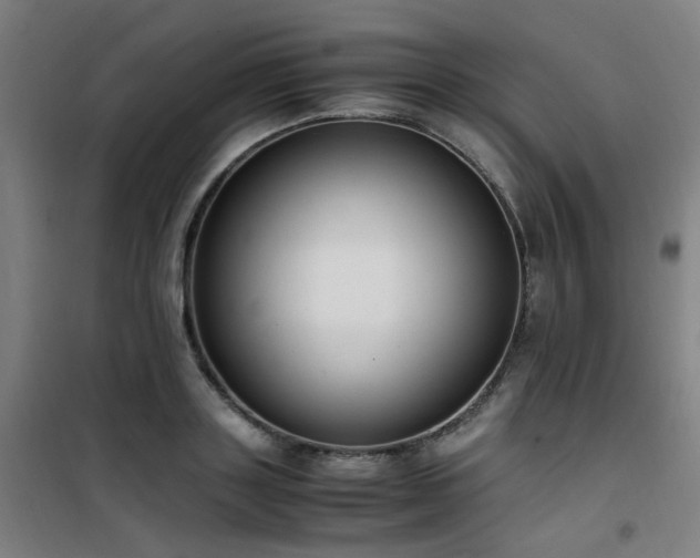 X0000101660843200807101252