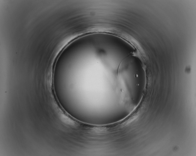 X0000101660844200807101252