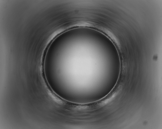 X0000101660845200807101252